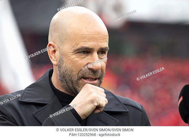 Chief coach Peter BOSZ (LEV, mi.) With serious look, portrait, portrait portraits. Soccer 1. Bundesliga, 33. matchday, Bayer 04 Leverkusen (LEV) - FC Schalke 04...