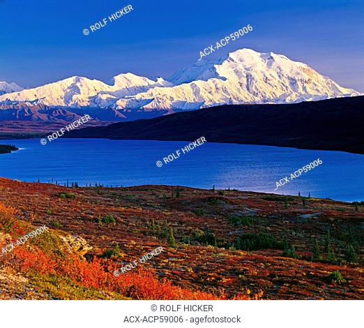 Mount McKinley Denali with red fall colors on a clear blue sky day with Wonder Lake in front of the mountain, autumn, Denali National Park and Preserve, Alaska