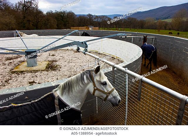 Equestrian Centre Robledales de Ultzama, Zenotz, Ultzama, Ulzama, Navarra, Spain