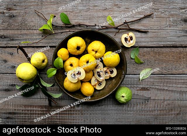 Japanese quince on a wooden garden table top