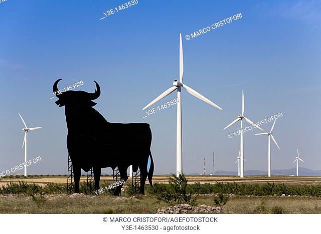 Osborne Bull near windfarm, La Muela, Zaragoza, Spain