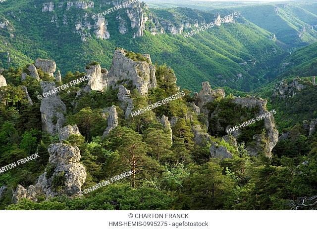 France, Lozere, the Causses and the Cevennes, Mediterranean agro pastoral cultural landscape, listed as World Heritage by UNESCO