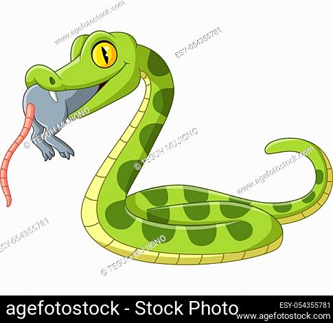 Attacking an anaconda Stock Photos and Images | agefotostock