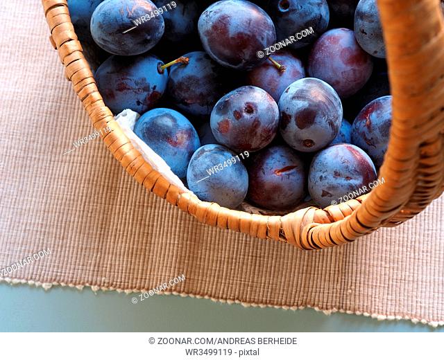 Harvested fresh organic plums in a basket, healthy food or self supply concept