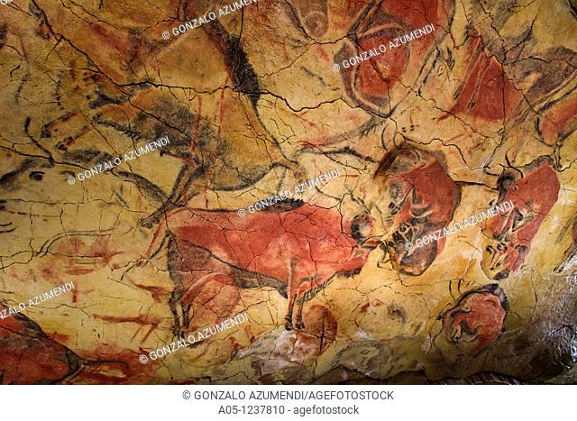 Bisons in Altamira's reproduction cave Neo Cave  Upper Paleolithic cave paintings  Altamira museum  UNESCO World Heritage Santillana del Mar  Spain