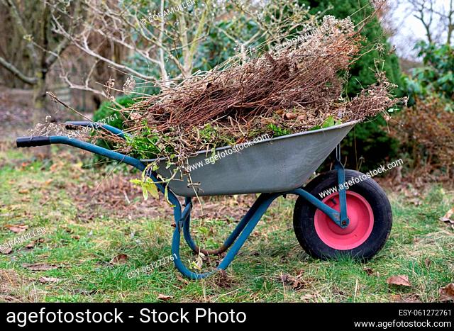 Wheelbarrow with organic waste in the garden