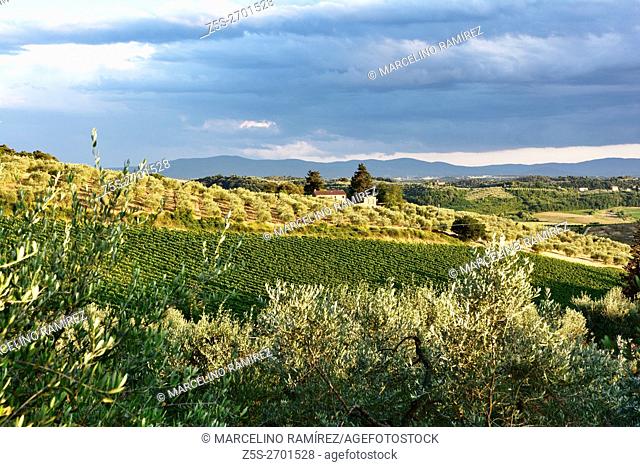 Tuscan landscape. San Giorgio, Poggibonsi, Siena, Tuscany, Italy, Europe,