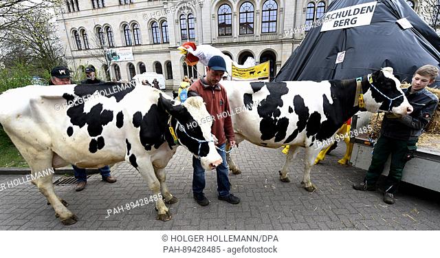 Milk farmers from 13 federal states in Germany demand permanent crisis measures to regulate the amount of milk produced in the EU ahead of a meeting of...
