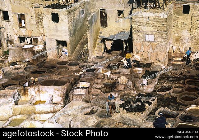 Fes, Morocco, Africa - Elevated view of a traditional tannery and dye factory in the walled medina with its historic buildings of the old city