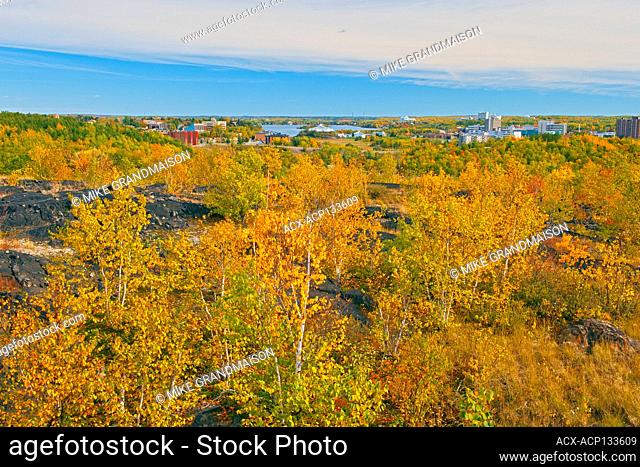 Reclammation of the land, 40 years after. Taken from Martindale Hill in Sudbury. Greater Sudbury Ontario Canada