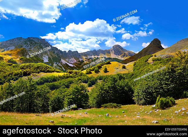 National mountains park Durmitor in Montenegro - nature travel background