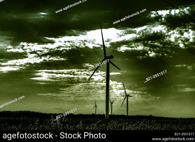 France-Pays de Loire- Maine et Loire- wind mills by La Chaappelle Rousselin