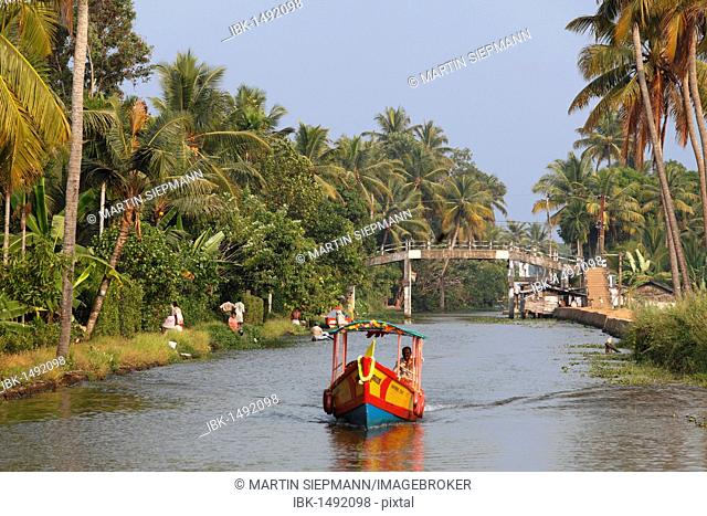 Colorful boat on a canal, Backwaters near Alleppey, Alappuzha, Kerala, India, South Asia, Asia
