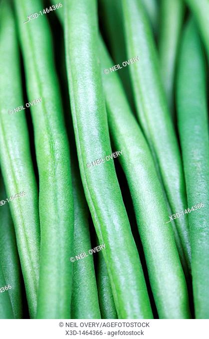 Green Beans Phaseolus vulgaris
