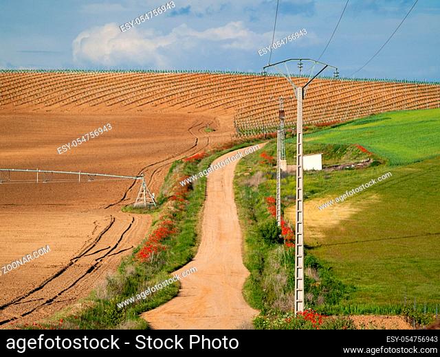 A rural dirt road in the field in spring