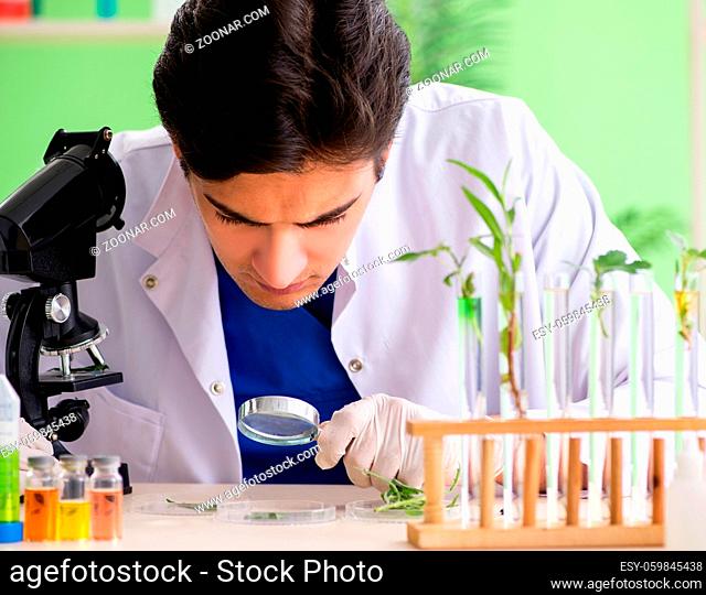 The young biotechnology scientist chemist working in lab
