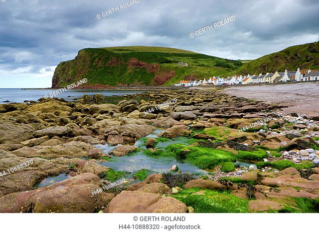Pennan, Great Britain, Scotland, Europe, sea, coast, tides, low, ebb, tide, rock, cliff, algae, village, houses, homes