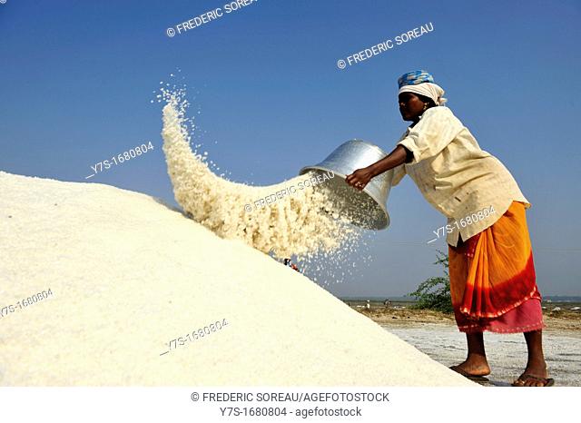 Woman working in Salt fields, Tamil Nadu, South India, Asia