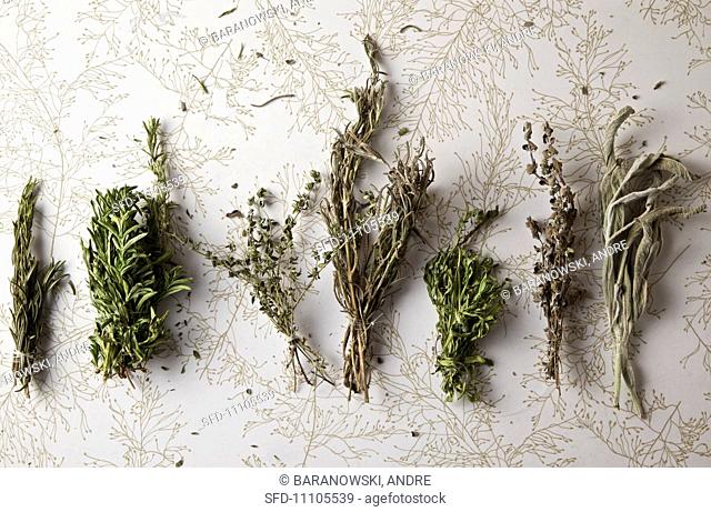 Herbs de Provence, Rosemary, Savory, Thyme, Lavender , Tarragon, Marjoram, Sage