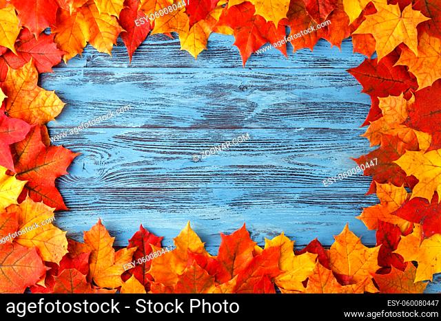 Autumn maple leaf on blue wooden table. Fall background with copy space