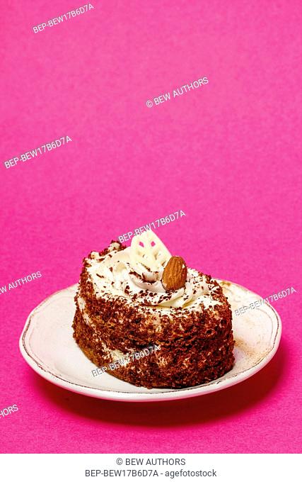 Tiramisu cake on vivid pink background. Copy space