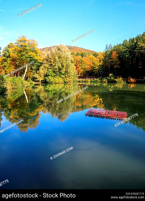 beautiful reflecting Lake and Forest during Autumn in lower austria sparbach