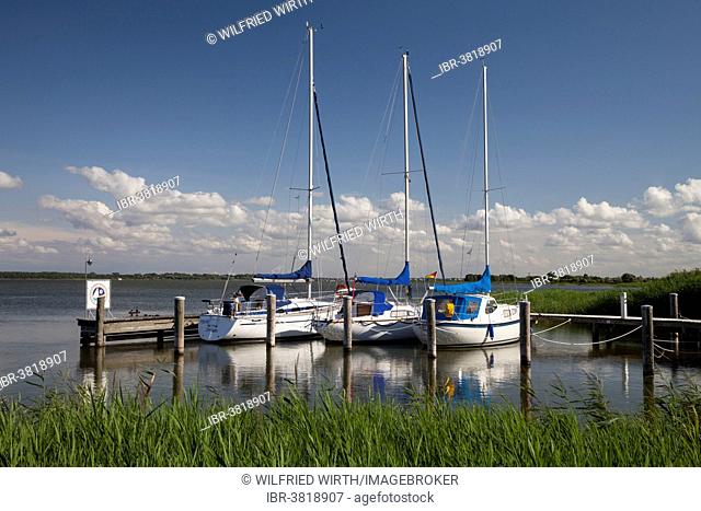 Rest area for boaters at the Bodden, Dierhagen-Dorf, Mecklenburg-Vorpommern, Germany