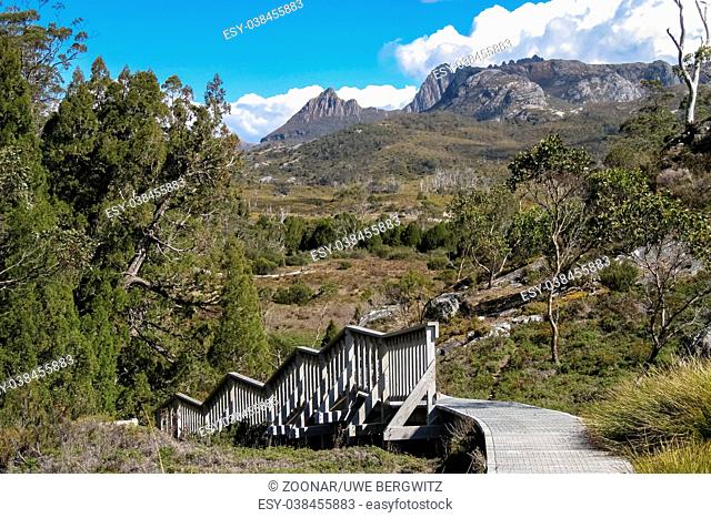 Boardwalk on hiking trail, part of Overland track, Cradle Mountain NP, Tasmania