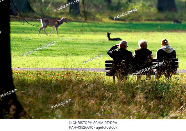 People sit on a bench and look at deer at the zoo in Hanover, Germany, 22 October 2013. Photo: CHRISTOPH SCHMIDT | usage worldwide