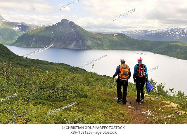 view over the fjord Bergsfjorden from Husfjellet mountain, Senja island County of Troms, Norway, Northern Europe