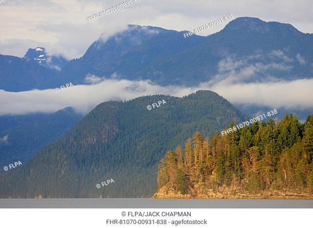 View of coastline and temperate rainforest habitat, Desolation Sound Marine Provincial Park, Coast Mountains, British Columbia, Canada, September