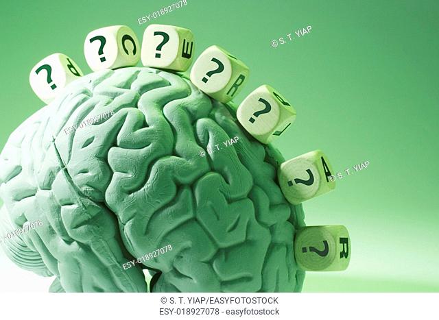 Question Marks and Anatomy Model of Human Brain