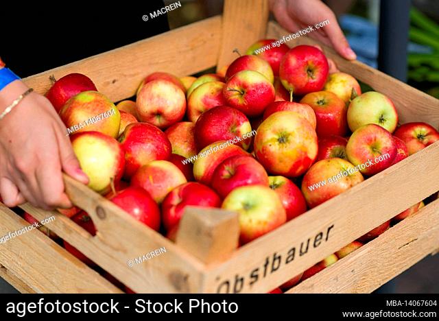 woman carries a fruit crate with apples