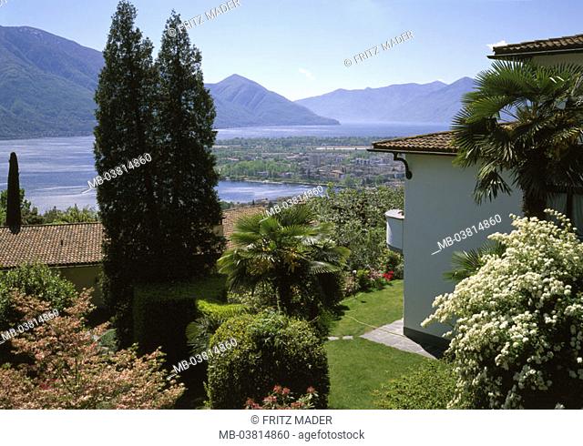 Switzerland, Tessin, Locarno, view over the city, Lago Maggiore,   highland, mountains, sea, North shores, cityscape, city, houses, summer, destination, tourism