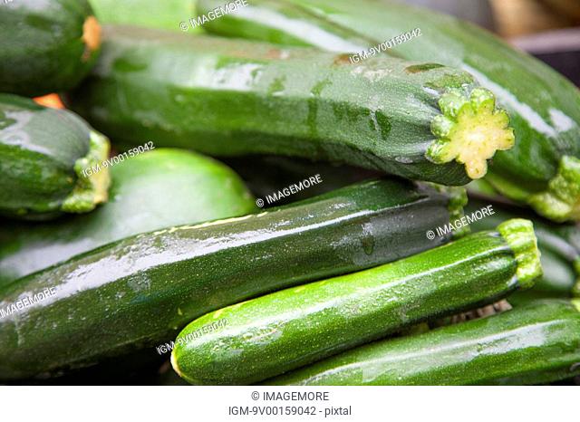 Vegetable, Cucumber