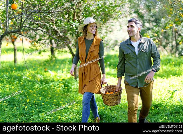 Couple walking with basket full of oranges in the field