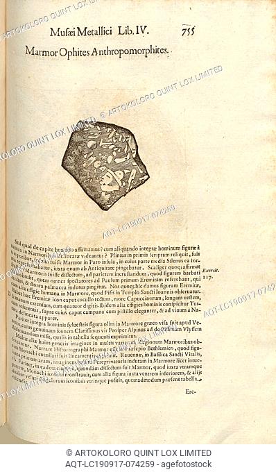 Marmor Ophites Anthropomorphites, Illustration of 17th century marble orphites and anthromorphites, Fig. 3, p. 755, 1648