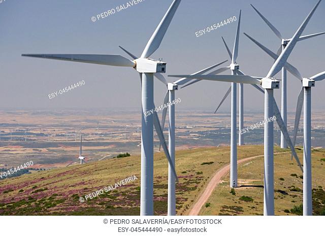 Windmills for electric power production, Burgos Province, Castilla Leon, Spain
