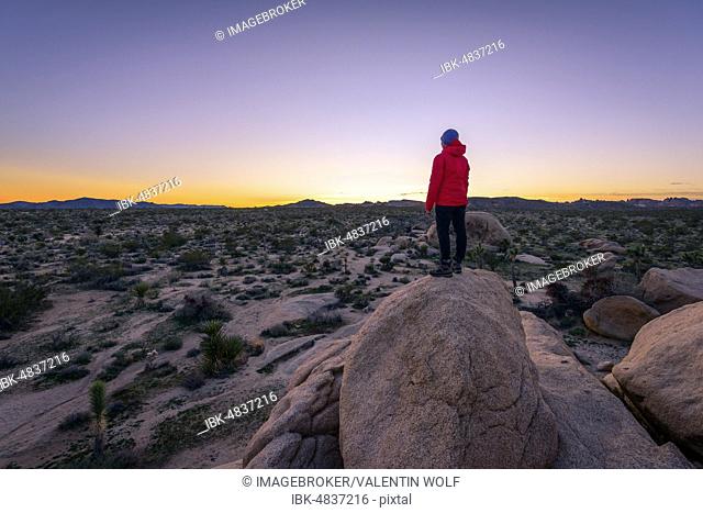 Young woman standing on granite rocks, at sunset, rock formations, White Tank Campground, Joshua Tree National Park, Desert Center, California, USA