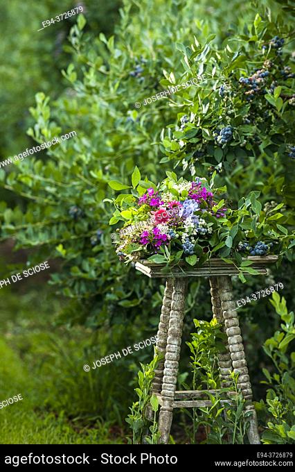 A bouquet of flowers in a garden setting with blueberry shrubs in the background