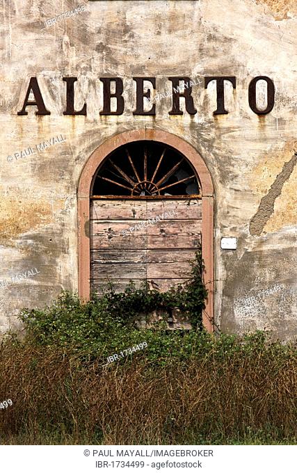 Entrance door of abandoned farmhouse with inscription Alberto, near Bolgheri, Tuscany, Italy, Europe