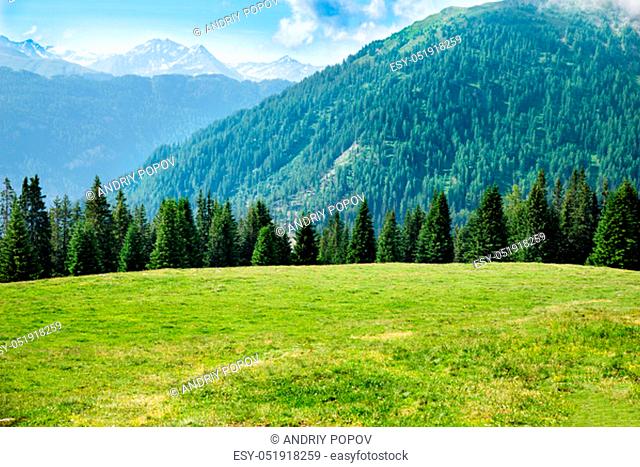Pasture Grass Field In Austrian Alps In Summer