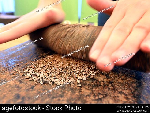 24 November 2021, Baden-Wuerttemberg, Bruchsal: In the exhibition ""Cocoa & Chocolate"" in Bruchsal Castle, cocoa beans are ground to powder on a Mexican...