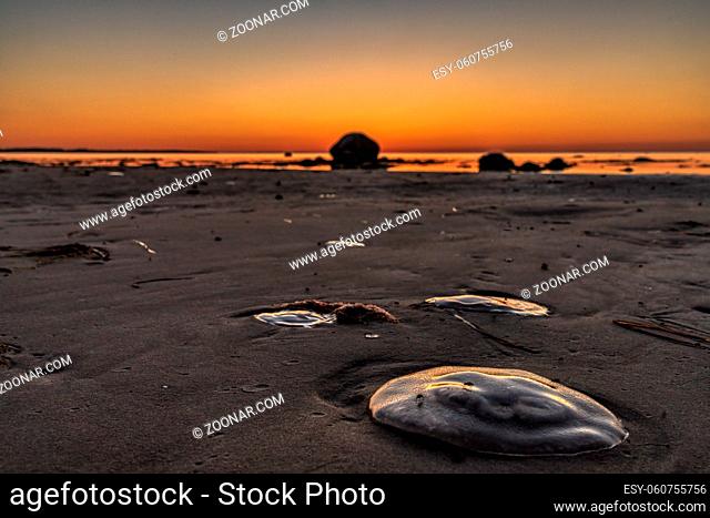 Evening on the beach in Hohen Wieschendorf, Mecklenburg-Western Pomerania, Germany