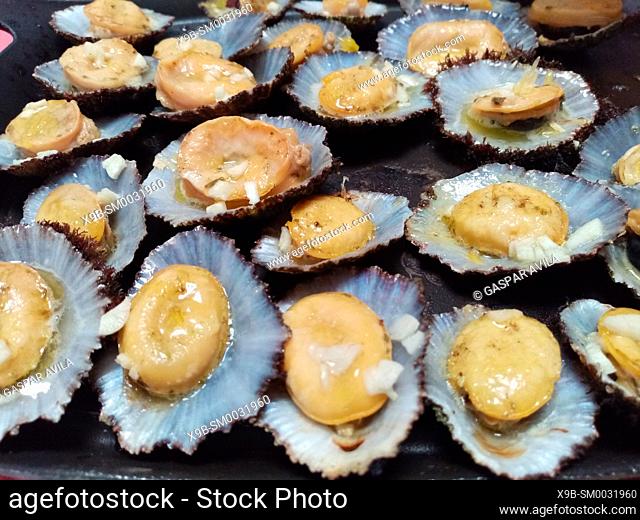 Grilled limpets are a delicacy at the Azores islands, Portugal