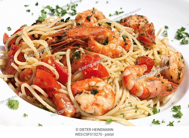 Germany, Close up of spaghetti with scampis fried in chili oil, tomato and herb