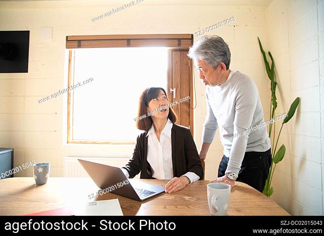 Senior man and woman having business meeting
