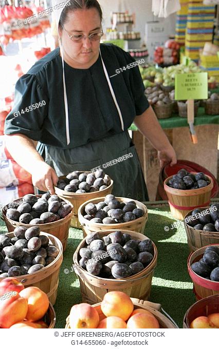 Amish woman, produce vendor, fruit baskets, plum, peach. Shipshewana Flea Market. Shipshewana. Indiana. USA