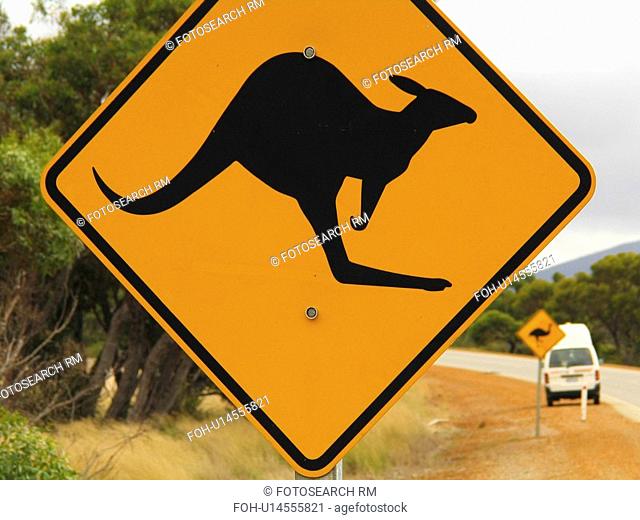 kangaroo crossing funny symbolic orange highway