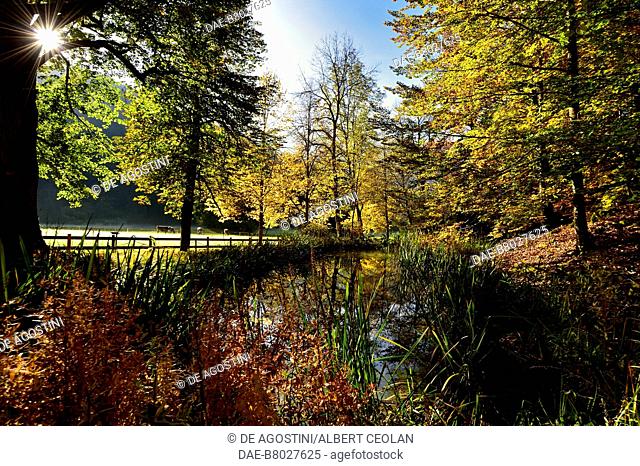 The park of Villa Welsperg, home to the Paneveggio-Pale di San Martino Natural Park, Primiero valley, Dolomites, Trentino-Alto Adige, Italy